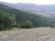 Орлине з panoramio.com