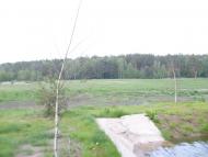 Тарасенки - Останні фото