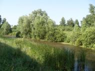 Заворичі з panoramio.com