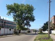 Прилуки з panoramio.com