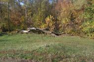 Кремінна з panoramio.com