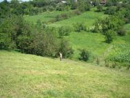 Зоряне - Останні фото