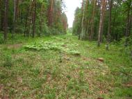 Головин з panoramio.com