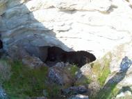 Кам'янське з panoramio.com
