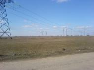 Градениці - Останні фото