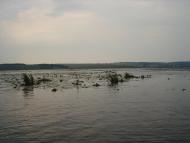 Івачів Горішній з panoramio.com