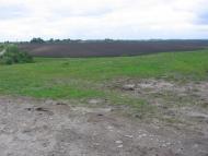 Безіменне з panoramio.com