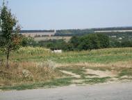 Копіївка з panoramio.com