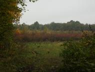 Драганівка з panoramio.com