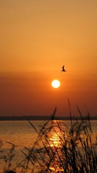 Бородаївка з panoramio.com