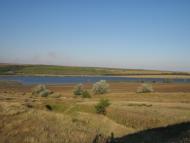 Дмитрівка - Останні фото