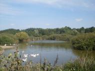 Тимар з panoramio.com