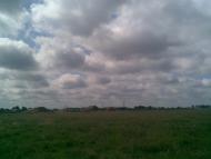 Вихвостів з panoramio.com