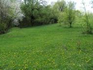 Багачівка - Останні фото