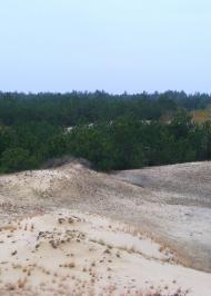 Забарине з panoramio.com