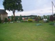 Вишнівка з panoramio.com