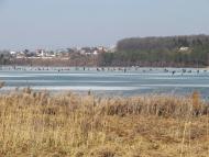 Ивачев Горишний - Последние фото