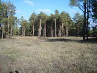 Забарине з panoramio.com