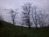 Купріне з panoramio.com