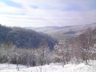 Кобилецька Поляна з panoramio.com