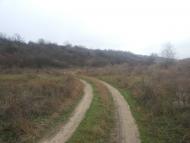 Варюшине з panoramio.com