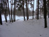 Шишаки з panoramio.com