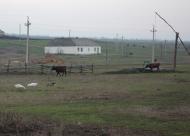 Морозова - Останні фото