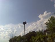 Березівка - Останні фото