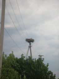 Максимівка - Останні фото