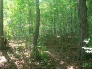 Стуфчинці з panoramio.com