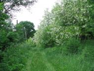 Лютенські Будища з panoramio.com