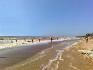 Мелекине з panoramio.com