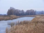 Сабадаш - Последние фото