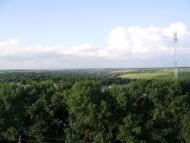 Шебутинцы - Последние фото