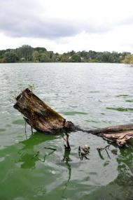 Власівка з panoramio.com