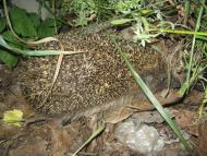 Літочки з panoramio.com