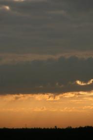 Буча з panoramio.com