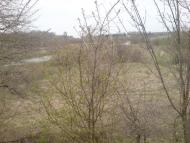 Перешпа з panoramio.com