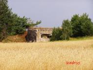 Великі Макари з panoramio.com