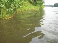 Стригани з panoramio.com