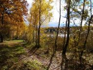 Маньківка з panoramio.com