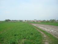 Дроздні з panoramio.com