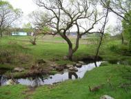 Немильня з panoramio.com