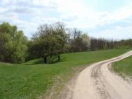 Сухини з panoramio.com