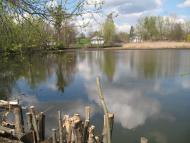 Велика Севастянівка з panoramio.com