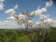 Григорівка з panoramio.com