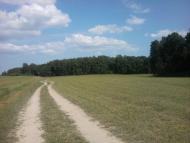 Терехівка з panoramio.com