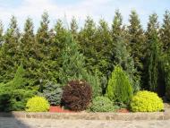 Кам'яниця з panoramio.com