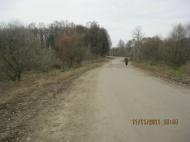 Чапля - Останні фото