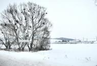 Зарваниця з panoramio.com